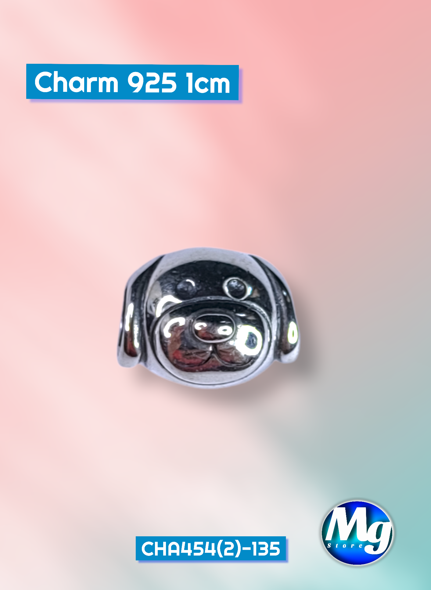 Charm 925 1cm