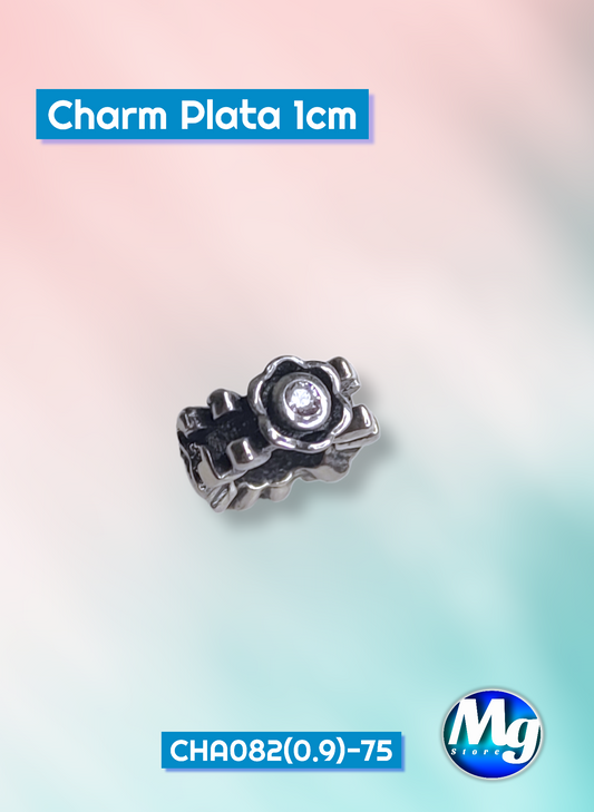 Charm Plata 1cm